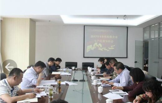 国资公司召开2017年一季度控股企业生产经营分析会