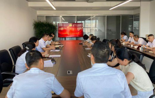 市国资公司召开党委中心组学习（扩大）会