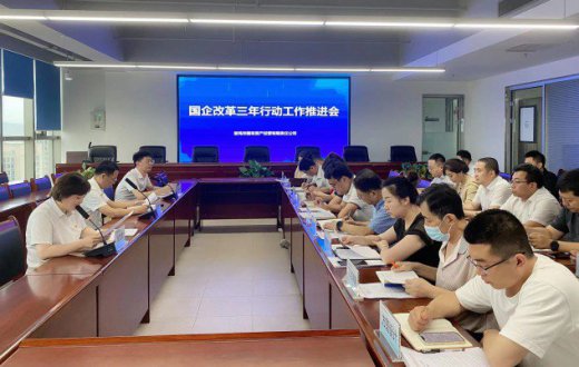 市国资公司召开国企改革三年行动工作推进会