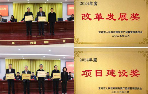 喜报 —— 宝鸡市工业发展集团有限公司荣获2024年度“改革发展奖”“项目建设奖”