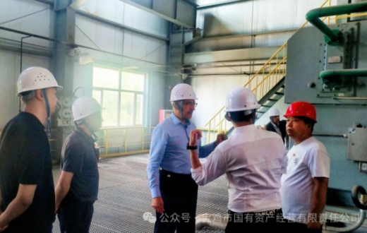 陕西宝氮化工集团有限公司与波斯湾石化集团开展合作对接交流座谈